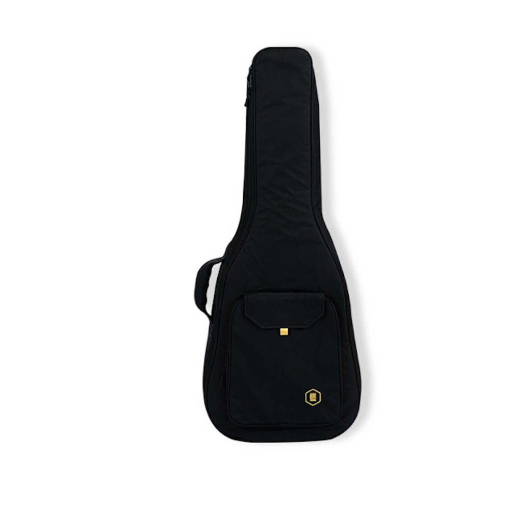 Hex Sting Series F200M/BT Acoustic Guitar