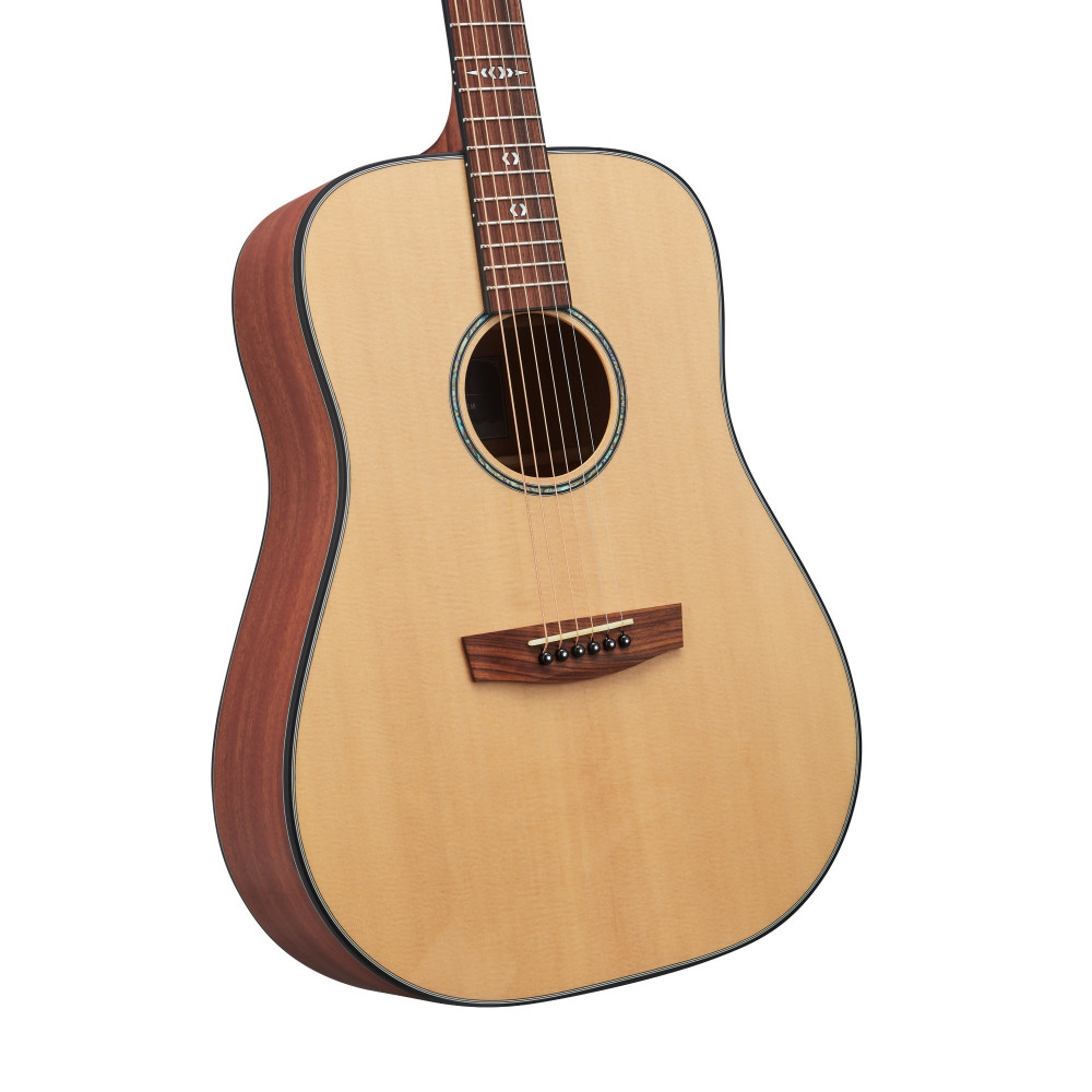 Hex Sting Series D300M Acoustic Guitar - Crafted for Superior Tone | HEX