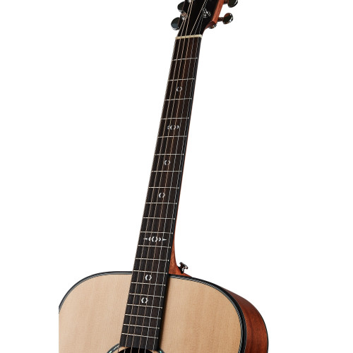 Hex Sting Series D300M Acoustic Guitar - Crafted for Superior Tone | HEX