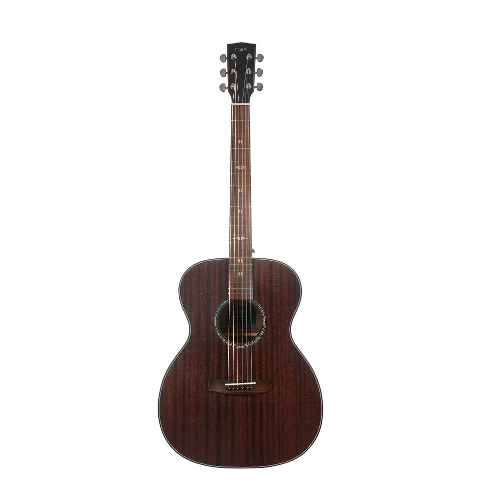 Hex Sting Series F300M Acoustic Guitar