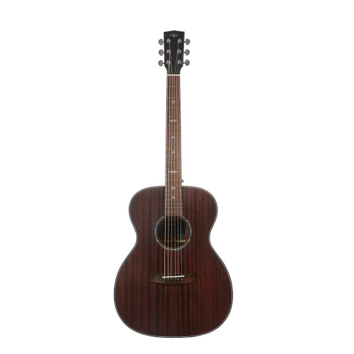 Hex Sting Series F300M Acoustic Guitar
