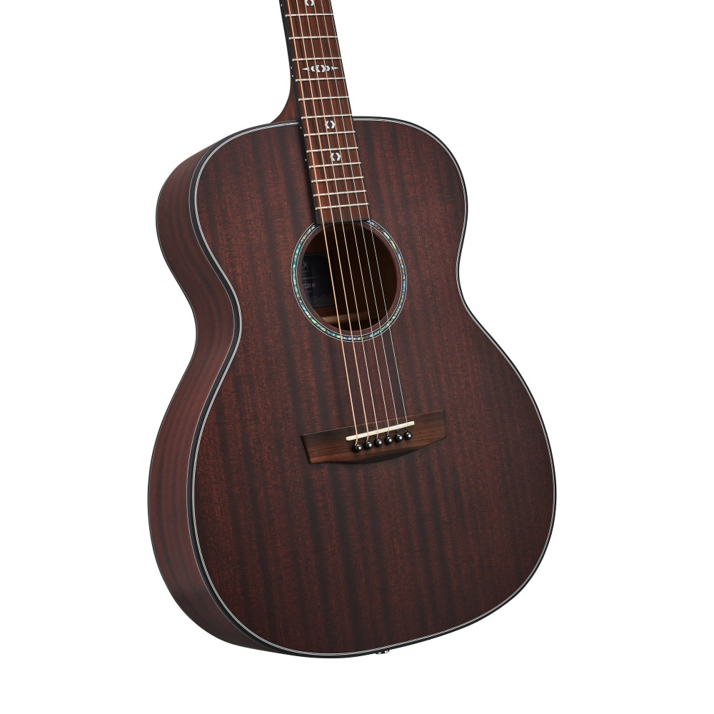 Hex Sting Series F320M Acoustic Guitar - Superior Tone & Craftsmanship