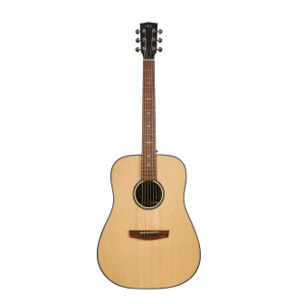 Hex Sting Series D350G Acoustic Guitar