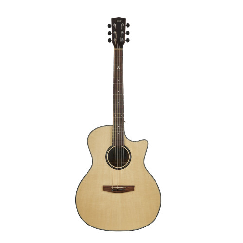 Hex Hornet Series GA400CE/G Semi Acoustic Guitar with Fishman