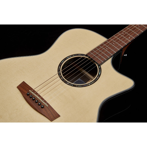HEX Hornet Series GA400CE/G Semi Acoustic Guitar | Fishman Pickup
