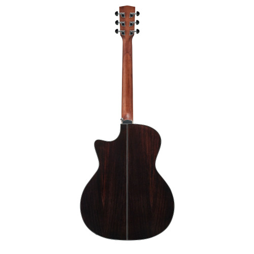 HEX Sting Series GA350CE/G Semi Acoustic Guitar with Fishman | Superb Tone & Craftsmanship