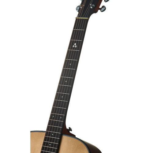HEX Sting Series GA350CE/G Semi Acoustic Guitar with Fishman | Superb Tone & Craftsmanship