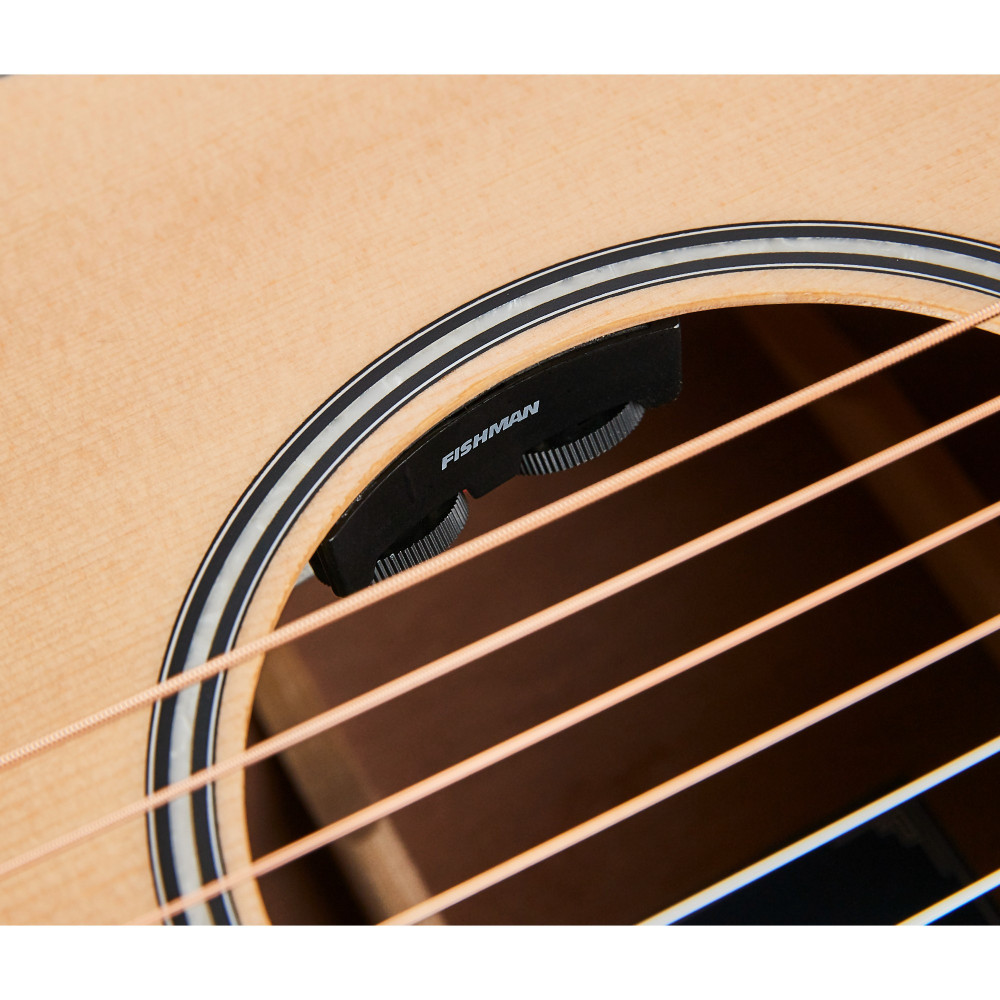 HEX Sting Series GA350CE/G Semi Acoustic Guitar with Fishman | Superb Tone & Craftsmanship