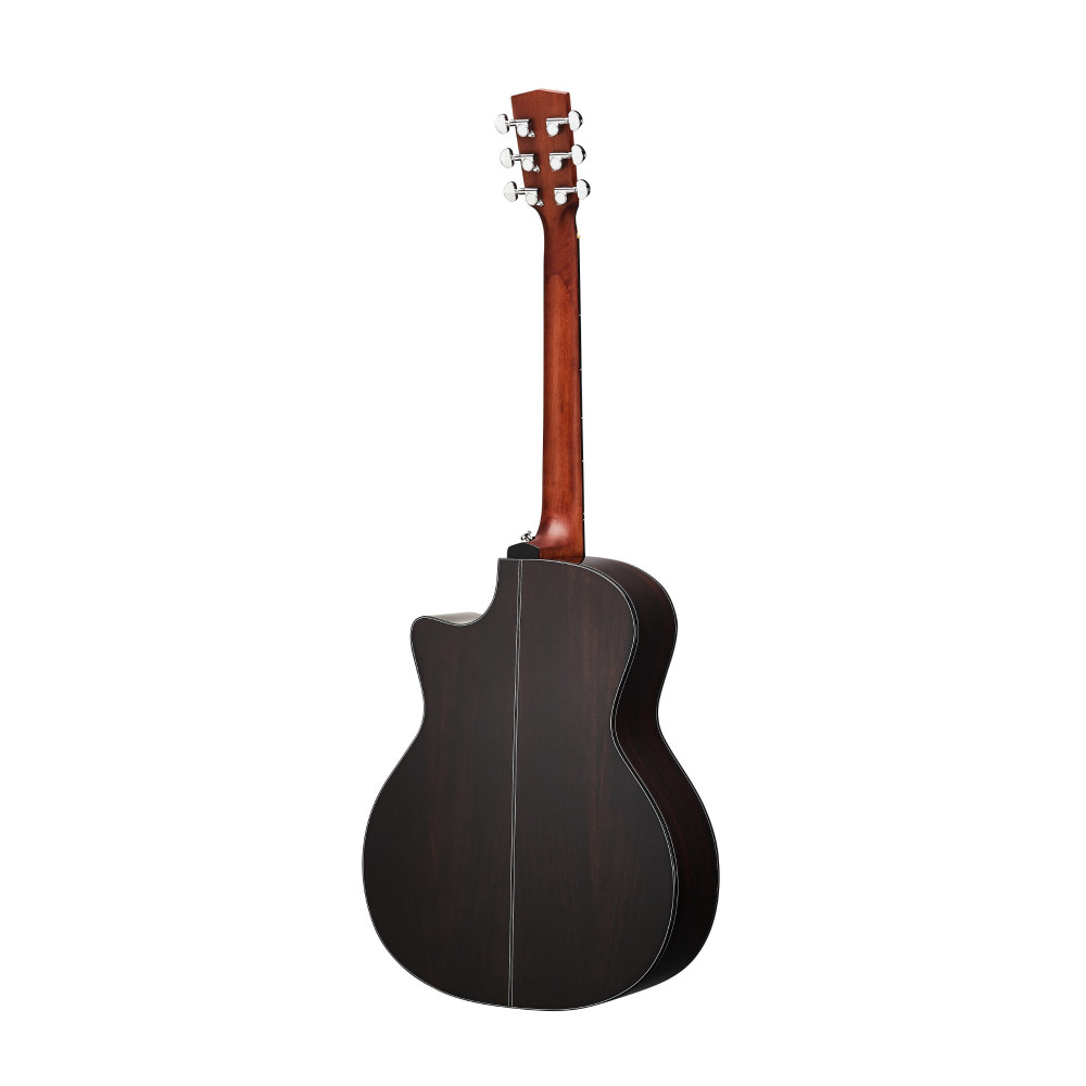 HEX Sting Series GA350CE/G Semi Acoustic Guitar with Fishman | Superb Tone & Craftsmanship