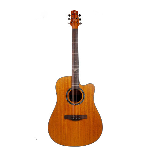 Strydom P141CNM Dreadnought Shape Acoustic Guitar