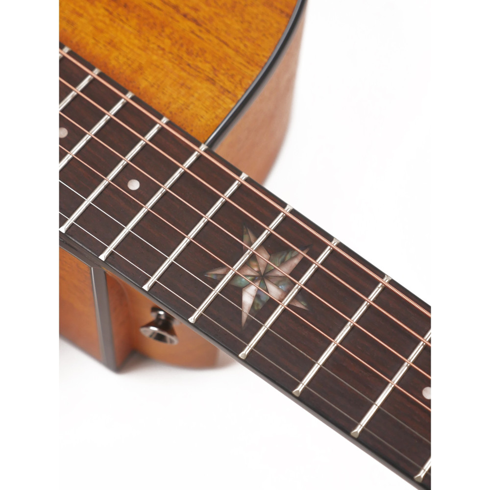 Strydom P141CNM Dreadnought Shape Acoustic Guitar | Superior Tone & Playability